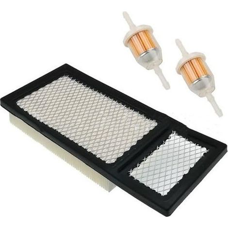 Le filtre à air 72368G01 26591G01 convient aux filtres à air pour voiturettes de golf Golf 72084-G01. (1/4)