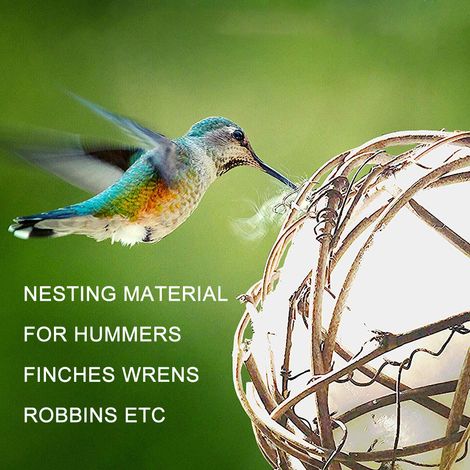 Lot de 3 globes de 7,6 cm pour nids de colibris, contenant des boules de coton pour nids d'oiseaux sauvages, troglodytes et pinsons. (1/5)