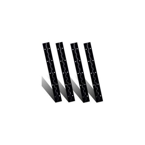 Lot de 4 charnières continues et piano de 27 cm, charnières continues en acier inoxydable robuste avec trou pour boîte aux lettres, meubles en bois, boîtes de rangement, porte d'armoire, piano,