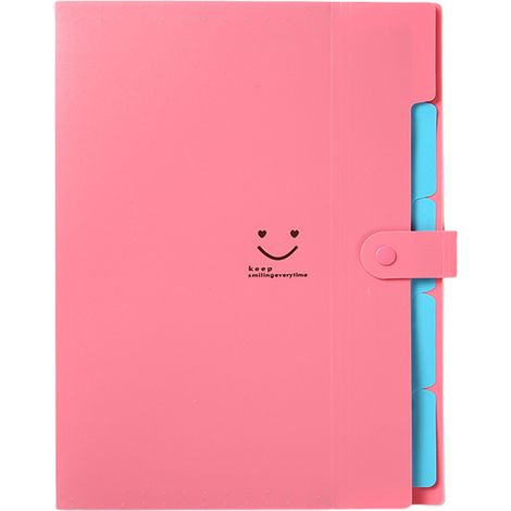 1 Organiseur de documents accordéon 5 compartiments, étiquettes incluses, polypropylène, format A4, bureau école maison (1/5)