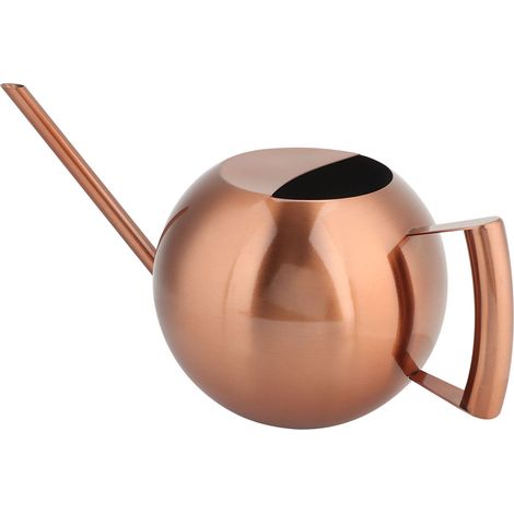 Arrosoir en acier inoxydable, arrosoir pour plantes grasses, arrosoir à jet long, arrosoir de jardin, 1000 ml, couleur bronze (1/5)