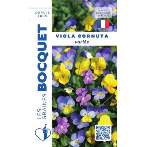 Viola Cornuta variée - 0,5g