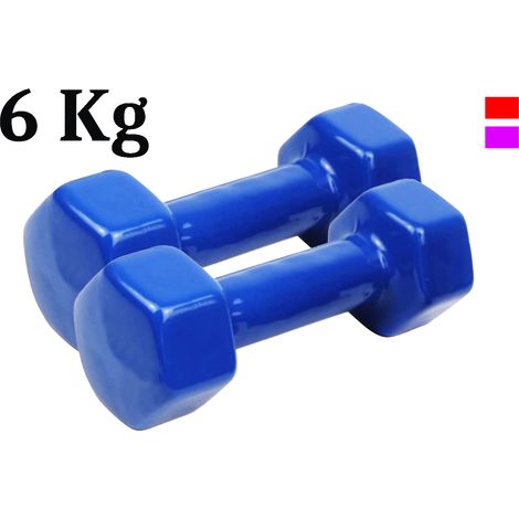 Coppia Pesi palestra 6kg manubrio antiscivolo esagonale gommato allenamento (1/5)