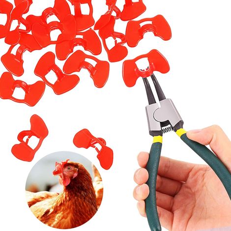 Ensemble de 21 pièces de protection oculaire sans clous pour poulets, avec pince, lunettes anti-picage pour faisans et volailles. (1/5)
