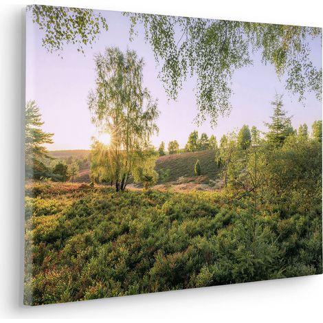 Komar Canvasbild Sommerabend - 40 x 60 cm - Bild auf Keilrahmen - Naturmotiv (1/2)