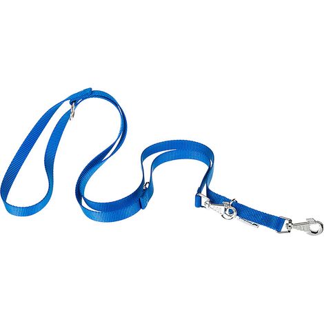 Ferplast CLUB GA Guinzaglio regolabile in nylon per l'addestramento di cani - in vari colori e misure. Variante GA15/200 - Misure: 15 mm x L 200 cm - Blu
