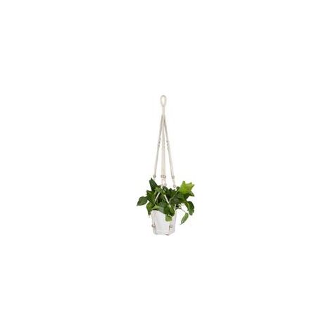 Panier suspendu d'intérieur/extérieur pour plantes, jardinière murale en coton faite main avec crochets, support pour plantes de 89 cm (35 pouces) pour la décoration intérieure et les fleurs (1/5)