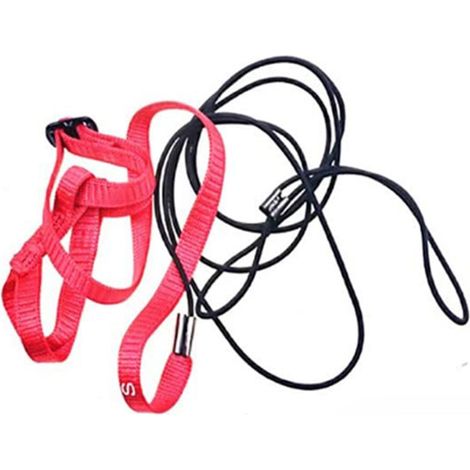 Harnais pour perroquet avec laisse réglable, corde de traction et aile mignonne pour l'entraînement en extérieur (1/5)