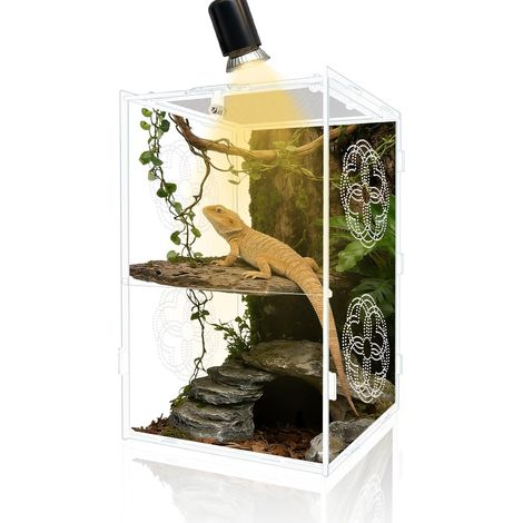 Enclos en acrylique pour araignées sauteuses avec treillis métallique sur le dessus, enclos polyvalent pour tarentules, gecko, caméléon, scarabée et mante, aquarium de l'ermite et crabe (1/5)