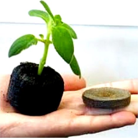 10 Pastillas de Turba. Germinaci�n Efectiva. Jiffy
