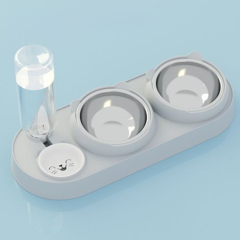 3-in-1 Katzennapf – 15° geneigtes Design – Grau – Für Wohnungskatzen – Kleine und mittelgroße Hunde (1/5)