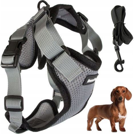 Arn茅s para perro M sin presi贸n gris (100) GABA (1/5)