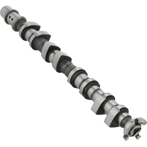 1x Arbre à cames For Chevrolet Aveo 1.6L l4 For Pontiac G3 1.6L l4 09 55561748 (1/5)