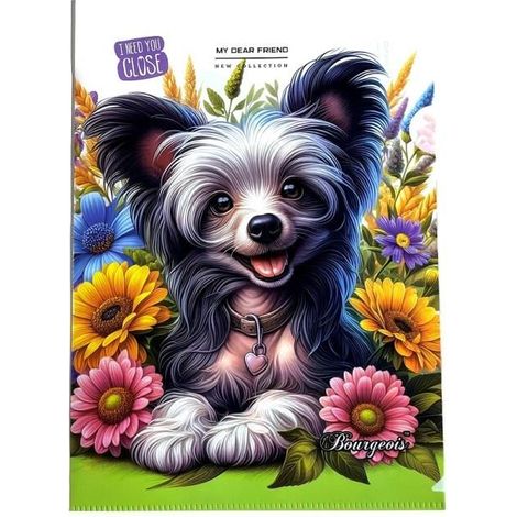 Cartella A4 + busta di plastica L Dog