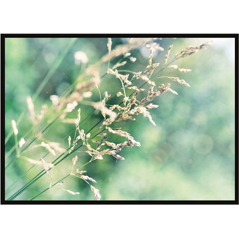 POSTER FOTOGRAFICO IN CORNICE 53x73 cm Prato P1639 (1/3)