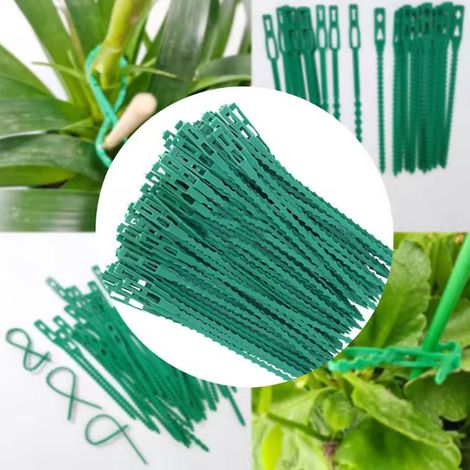 100 attaches torsadées réglables pour plantes de jardin Liens verts réutilisables en plastique pour jardinage (1/5)