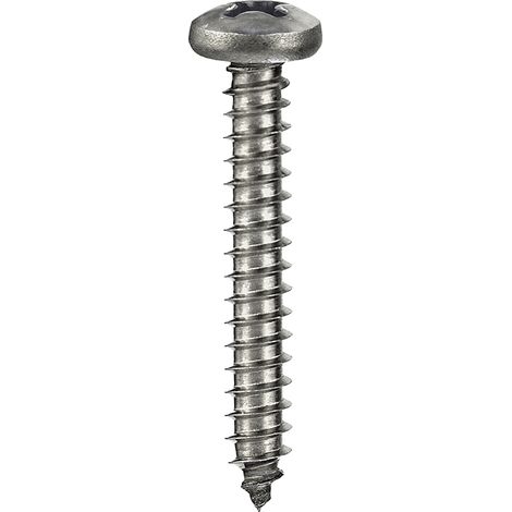Viti autofilettanti testa cilindrica Inox 4,8 x 32 - 6 pz.