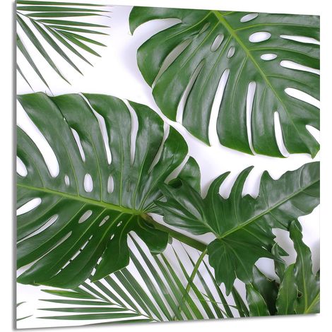 PANEL DE VIDRIO PARA COCINA 60x65 Monstera (1/5)