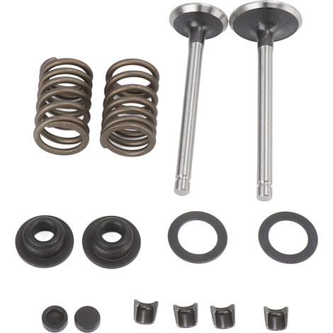 Ensemble de rondelles élastiques et clips de verrouillage en fer résistant à l'usure et à la corrosion pour vannes de micro-barboteuse et générateur (1/5)