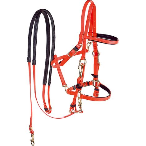 Briglia cavezza western in pvc con fibbiera in ottone completa di redini: Full, giallo