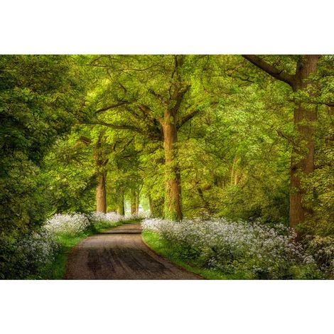 Papier peint panoramique original pour chambre | Tapisserie panoramique nature pour salon | Papiers peints panoramique paysage forêt - 270 x 400 cm (4 pièces) (1/2)