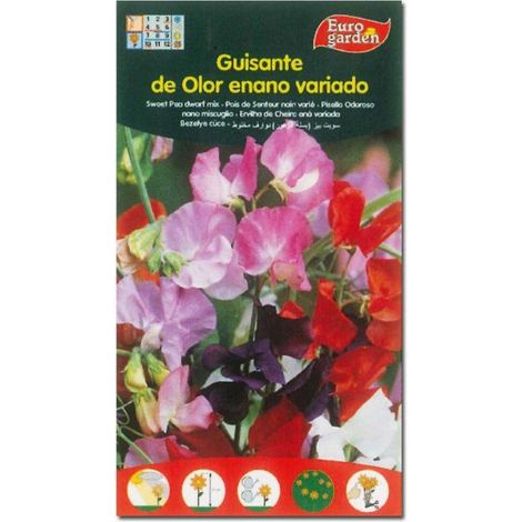 SEMILLAS FITO FLORES GUISANTE DE OLOR ENANO VARIADO=00651