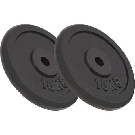 Deux plaques de contrepoids, pesant chacune 10 kg, en fonte.