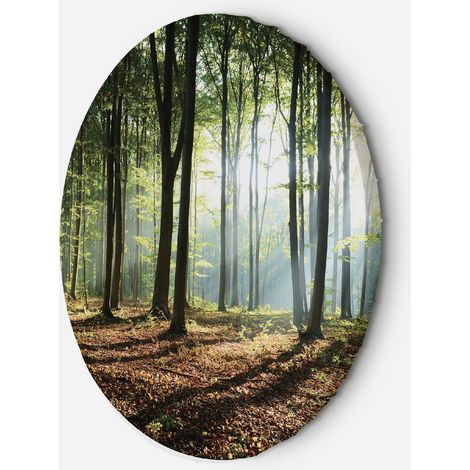 Tableau sur toile Image circulaire Forêt au lever du soleil 60x60 (1/5)