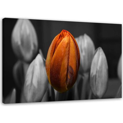 Tableau sur toile Tulipe Orange Gris 100x70 (1/5)