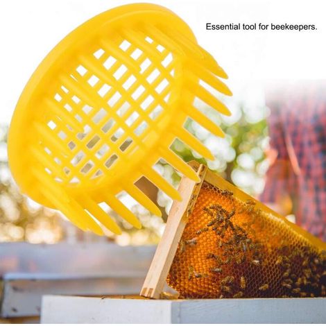 Boîte D Élevage Reine - 6 Pièces - Pour Élevage Cellulaire De Reines D Abeilles - Réutilisable - En Plastique Alimentaire Sans BPA (1/3)