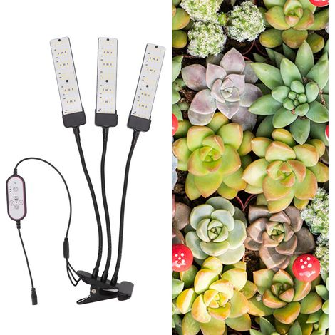Lampe de croissance LED à pince, col de cygne, spectre complet, trois têtes avec minuterie pour plantes succulentes, prise UE 100-240 V (1/5)
