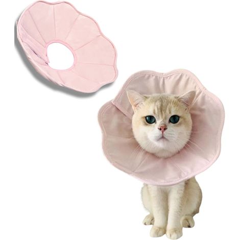 Collier De Récupération Pour Chat - Coton Souple Et Léger - Alternative Au Cne - Réglable - Taille XS (1/5)