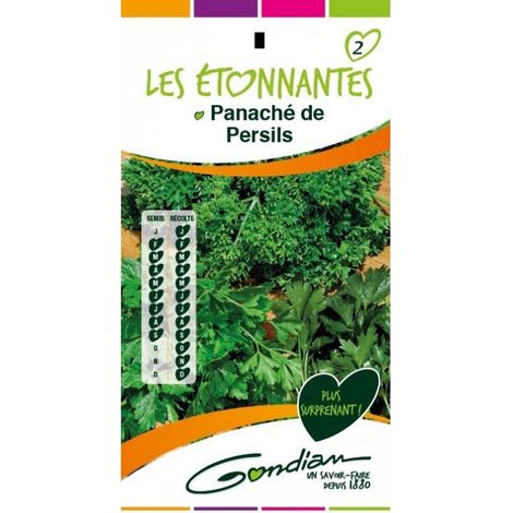 Gondian - Panaché de Persil