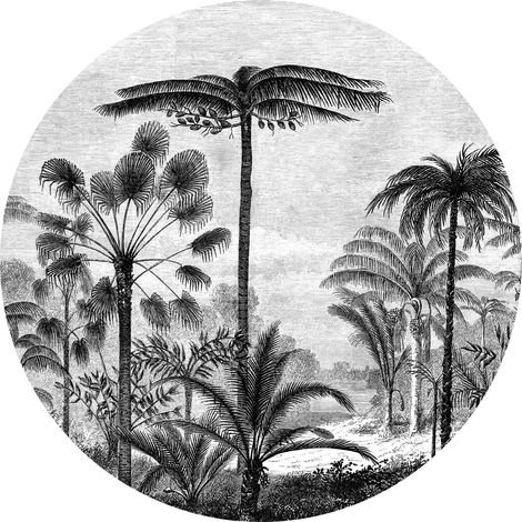 papier peint panoramique rond adhésif paysage tropical avec des palmiers noir et blanc  - ESTAhome (1/5)
