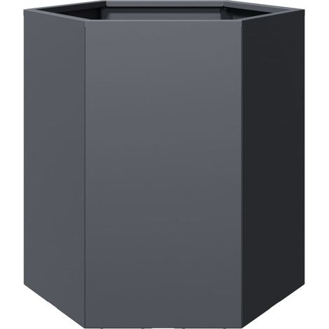 Maison Exclusive - Fioriera da Giardino Antracite Esagono 46x40x45 cm in Acciaio