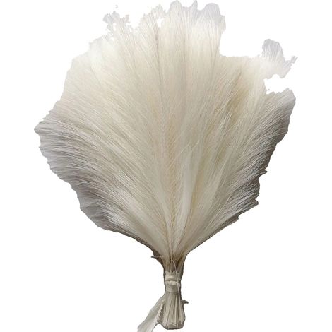 Herbe de Pampas Artificielle, Décor Polyvalent, Design Durable, 5pcs-b, couleur 4 (1/2)