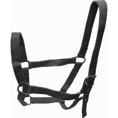 Harnais de dressage pour chevaux avec bride réglable, idéal pour l'équitation western en prairie. (1/5)