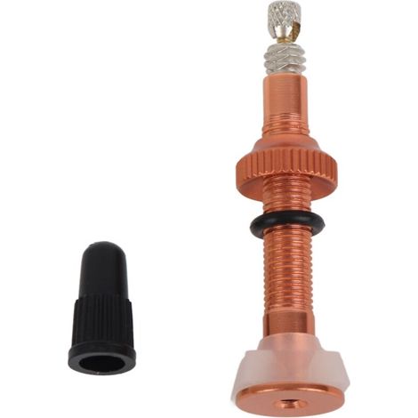 Adaptateur de Valve Tubeless pour VTT et Vélo de Route, Prolongateur de Tige de Valve