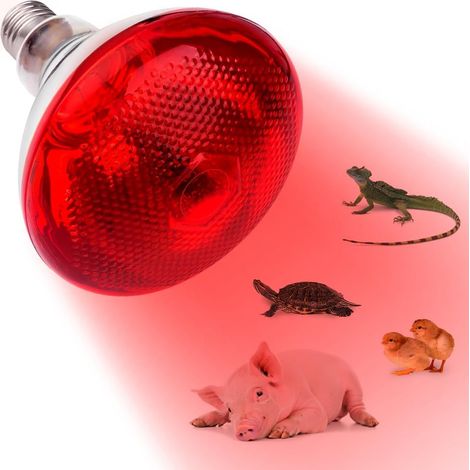 1 Ampoule Chauffante, 250W, Verre De Quartz, Douille E27, Pour Reptiles Et Volailles (1/5)
