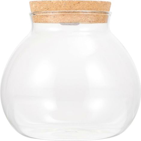 Terrarium paysager à faire soi-même, bouteille en verre pour terrarium.-14.00X13.00X13.00CM-White (1/4)