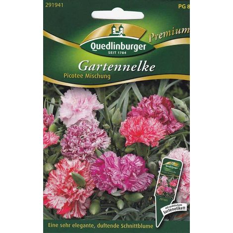 Quedlinburger Gartennelke Picotee Mischung - Blumensamen (1/4)