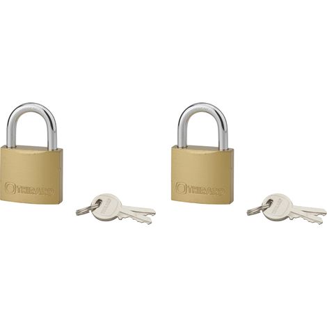 Set di 2 lucchetti Tipo 1, 40mm, grillo in acciaio, 4 chiavi