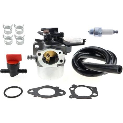 S-giant 796608 carburateurs pour moteurs Briggs & Stratton 591137 590948 select 121000 12q000 111000 11p000 (1/4)