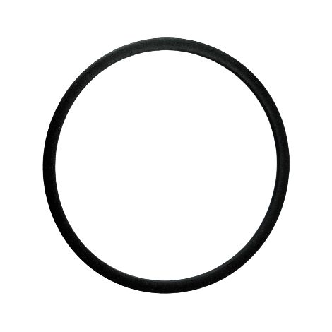 Wandlerkolbendichtung 89,18 mm x 4,06 mm x 2,62 mm 6R80 PTFE