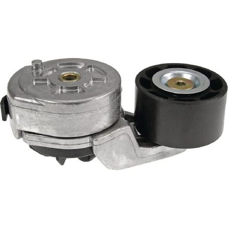 Tendeur de courroie VAPORMATIC VPE6435