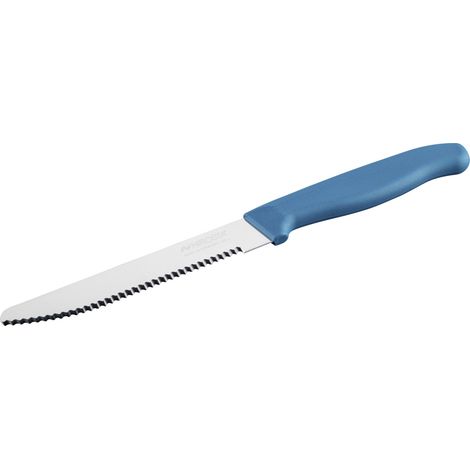 Nirosta Frühstücksmesser Elemental 22,5 cm blau/silber