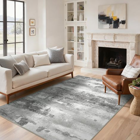 Tapis Salon Résumé 120x170cm Lavable en Machine Rug AntidéRapant Poil Ras, pour Chambre Salle a Manger Descente de Lit Bureau, Cuisine, Gris Argenté (1/5)