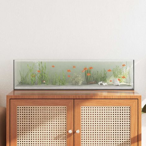 Vidaxl – Aquarium en verre 80 x 20 x 20 cm – Construction étanche – Vue panoramique 360° – Bords polis pour sécurité (1/5)