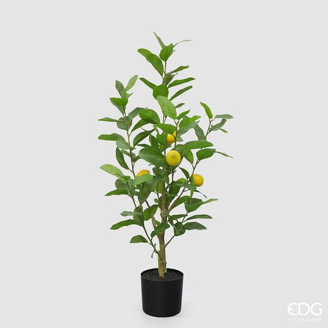 EDG Enzo De Gasperi limone  Vogue x4 con Vaso Pianta Artificiale H 97 Cm Verde Giallo