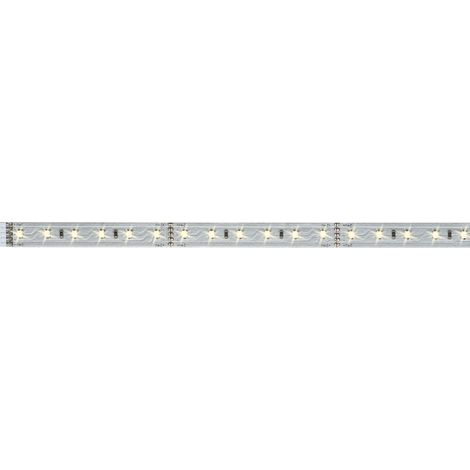 Paulmann MaxLED 500 70581 Ruban LED (Extension) avec connecteur mâle 24 V 1 m blanc chaud 1 pc(s) W788321 (1/5)